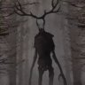 Profilbild von Wendigo