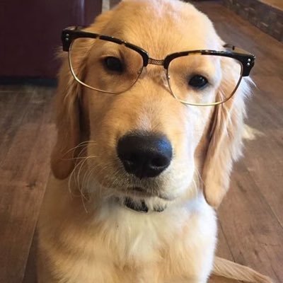jrynjas_22's profile picture