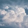 Profilbild von _غـــــيـم ☁