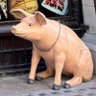alfonso posada's profile picture