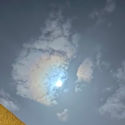 Trkee's profile picture
