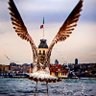 Izzet Kart profil fotoğrafı