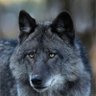 John_Muakadi ๐'s profile picture