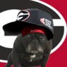 Profilbild von David 🏆🐶🏆