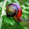 Profilbild von Zumac_Wander