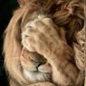 Hunter Pascale's profile picture