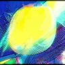 Naomi Iyla Rosen's profile picture