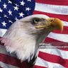 IdahoEagle🦅 的头像