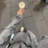 ٰ 的头像