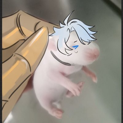 gomi0421's profile picture