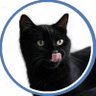 Profilbild von 猫舌ラングドシャ