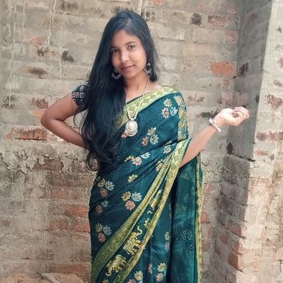 The_nibedita's profile picture