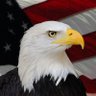 Covfefe profil fotoğrafı