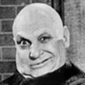D North's profile picture
