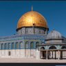 ✨The Arab Affairs✨ profil fotoğrafı