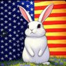 Somebunny profil fotoğrafı
