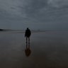 fizzybubbly's profile picture