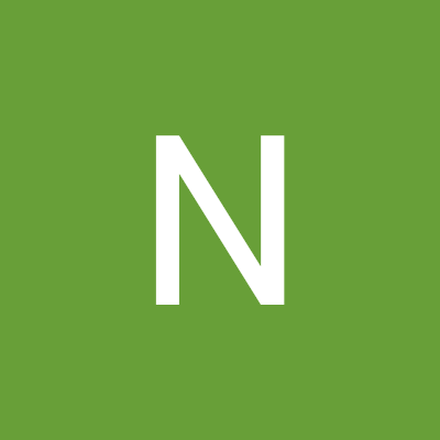 NguynL610275's profile picture