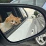 sudişş's profile picture