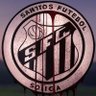 Caiçara Feelings's profile picture