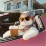 Profilbild von Jang