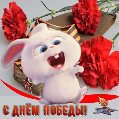Serёжik Zaйkin's profile picture