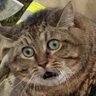ms's profile picture