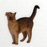 Profilbild von 私は猫と暮らしたい