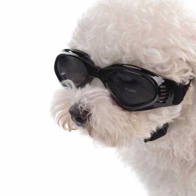 얼땅's profile picture