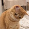 Moza profil fotoğrafı