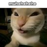 Maisha profil fotoğrafı