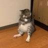 けいた's profile picture