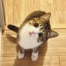 易 profil fotoğrafı