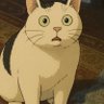 Profilbild von Chan Charmaine