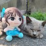 りょうま's profile picture