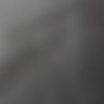Calculated Rebellion's profile picture