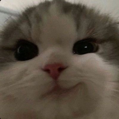 melisa's profile picture