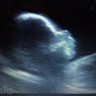 Truth1776 ๐บ๐ธ's profile picture