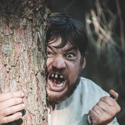 PagletOo8's profile picture