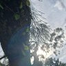 Фото профиля linny