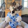 Weazy butt padded profil fotoğrafı