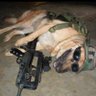 Thechlebek's profile picture