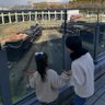 大地@大阪 profil fotoğrafı