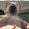 Gio Can's profile picture