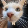 w's profile picture