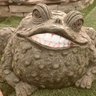 BoVodio Toad 的头像