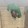 Ceddy's profile picture