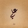 علي الأنصاري 的头像