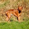 Profilbild von William