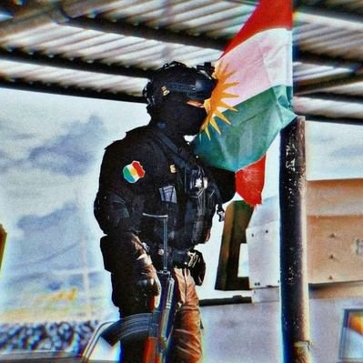 🧭Zagros Eagle🧭's profile picture